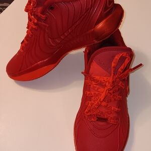 Nike Zoom LeBron XXI James Gang Bright Crimson Gym Red (HF5951-600) Men's Size 8